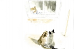 Au bonheur des Chats - Gabrielle Vincent, Duculot/Casterman 1995 (aquarelle)