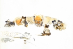 Au bonheur des ours- Gabrielle Vincent, Duculot/Casterman 1995 (aquarelle)